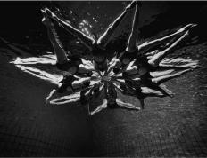 PG在线网站-乌克兰选手在水上项目比赛中取得胜利