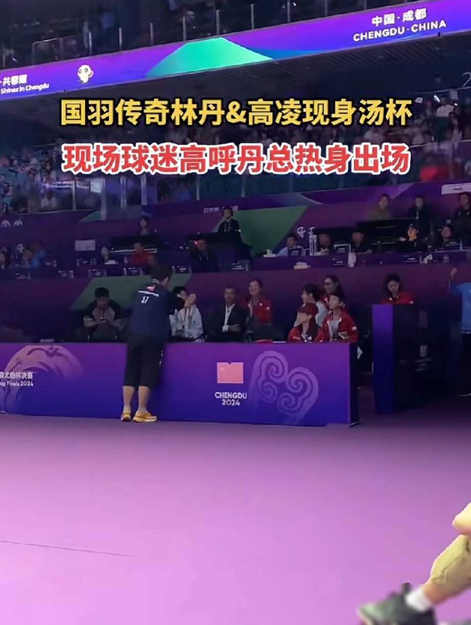 PG电子试玩官网-中国羽毛球队翻盘印尼羽毛球队，陶菲克关键制胜